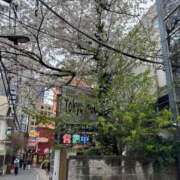 ヒメ日記 2025/04/06 11:00 投稿 きらら ぽちゃ巨乳専門　新大久保・新宿歌舞伎町ちゃんこ