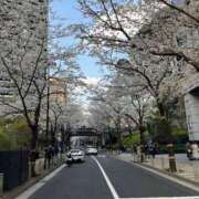 きらら お花見したーい♡ ぽちゃ巨乳専門　新大久保・新宿歌舞伎町ちゃんこ