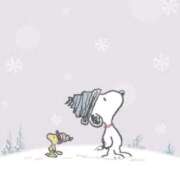 ヒメ日記 2025/02/19 10:34 投稿 ふうか 妻天 京橋店