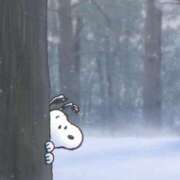 ヒメ日記 2025/02/21 09:55 投稿 ふうか 妻天 京橋店