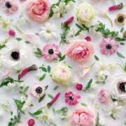 ヒメ日記 2025/03/05 08:43 投稿 ふうか 妻天 京橋店