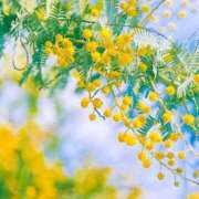 ヒメ日記 2025/03/07 08:53 投稿 ふうか 妻天 京橋店