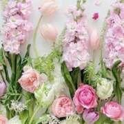 ヒメ日記 2025/03/10 08:53 投稿 ふうか 妻天 京橋店