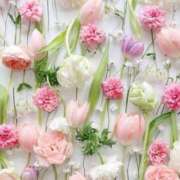 ヒメ日記 2025/03/17 09:13 投稿 ふうか 妻天 京橋店