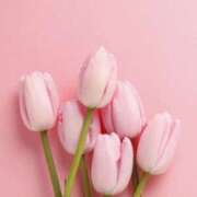 ヒメ日記 2025/03/25 08:53 投稿 ふうか 妻天 京橋店