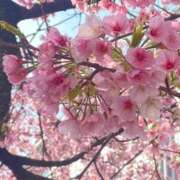 ヒメ日記 2025/03/28 08:49 投稿 ふうか 妻天 京橋店