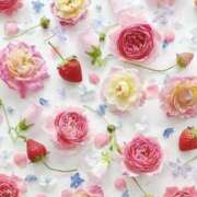 ヒメ日記 2025/03/29 09:23 投稿 ふうか 妻天 京橋店