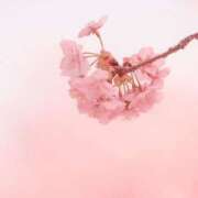 ヒメ日記 2025/03/30 08:43 投稿 ふうか 妻天 京橋店