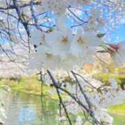 ヒメ日記 2025/04/04 10:23 投稿 ふうか 妻天 京橋店