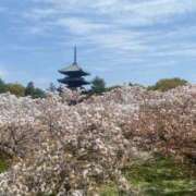 ヒメ日記 2025/04/18 09:04 投稿 ふうか 妻天 京橋店