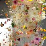 ヒメ日記 2025/04/20 09:01 投稿 ふうか 妻天 京橋店