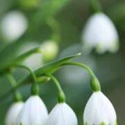 ヒメ日記 2025/04/21 08:58 投稿 ふうか 妻天 京橋店