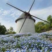 ヒメ日記 2025/04/22 08:53 投稿 ふうか 妻天 京橋店