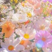 ヒメ日記 2025/04/27 08:43 投稿 ふうか 妻天 京橋店