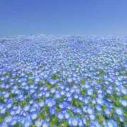 ヒメ日記 2025/04/28 12:05 投稿 ふうか 妻天 京橋店