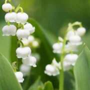 ヒメ日記 2025/05/09 10:49 投稿 ふうか 妻天 京橋店