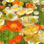 ヒメ日記 2025/05/12 09:04 投稿 ふうか 妻天 京橋店