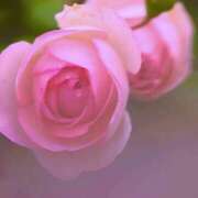 ヒメ日記 2025/05/15 08:03 投稿 ふうか 妻天 京橋店