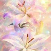 ヒメ日記 2025/05/21 08:06 投稿 ふうか 妻天 京橋店