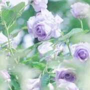 ヒメ日記 2025/05/24 08:39 投稿 ふうか 妻天 京橋店