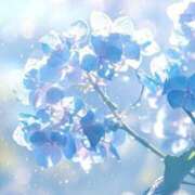 ヒメ日記 2025/05/26 08:59 投稿 ふうか 妻天 京橋店