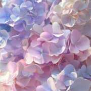 ヒメ日記 2025/05/30 09:18 投稿 ふうか 妻天 京橋店