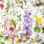 ヒメ日記 2025/05/31 09:05 投稿 ふうか 妻天 京橋店