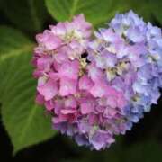 ヒメ日記 2025/06/02 08:56 投稿 ふうか 妻天 京橋店