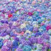 ヒメ日記 2025/06/06 10:10 投稿 ふうか 妻天 京橋店