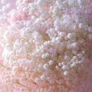 ヒメ日記 2025/06/09 06:02 投稿 ふうか 妻天 京橋店