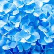 ヒメ日記 2025/06/11 08:42 投稿 ふうか 妻天 京橋店