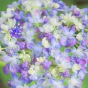 ヒメ日記 2025/06/12 08:54 投稿 ふうか 妻天 京橋店