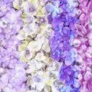 ヒメ日記 2025/06/24 08:38 投稿 ふうか 妻天 京橋店