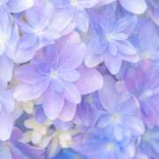 ヒメ日記 2025/06/27 09:02 投稿 ふうか 妻天 京橋店