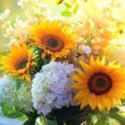 ヒメ日記 2025/06/28 06:48 投稿 ふうか 妻天 京橋店