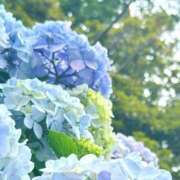 ヒメ日記 2025/06/30 08:58 投稿 ふうか 妻天 京橋店