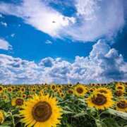 ヒメ日記 2025/07/16 06:01 投稿 ふうか 妻天 京橋店