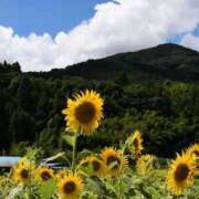 ヒメ日記 2025/07/25 08:41 投稿 ふうか 妻天 京橋店