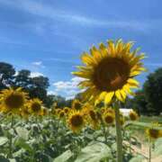 ヒメ日記 2025/07/30 11:21 投稿 ふうか 妻天 京橋店