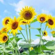 ヒメ日記 2025/08/02 06:58 投稿 ふうか 妻天 京橋店