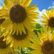 ヒメ日記 2025/08/06 08:41 投稿 ふうか 妻天 京橋店