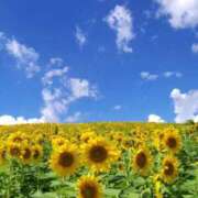 ヒメ日記 2025/08/08 18:24 投稿 ふうか 妻天 京橋店