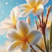 ヒメ日記 2025/08/13 05:41 投稿 ふうか 妻天 京橋店