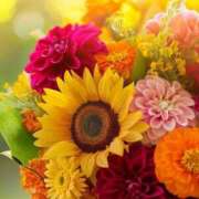 ヒメ日記 2025/08/18 08:19 投稿 ふうか 妻天 京橋店