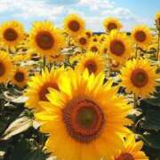 ヒメ日記 2025/08/26 06:49 投稿 ふうか 妻天 京橋店