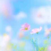 ヒメ日記 2025/09/04 06:47 投稿 ふうか 妻天 京橋店