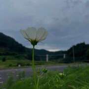 ヒメ日記 2025/09/05 08:44 投稿 ふうか 妻天 京橋店