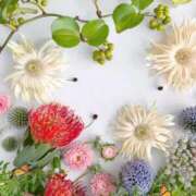 ヒメ日記 2025/09/06 07:57 投稿 ふうか 妻天 京橋店