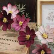 ヒメ日記 2025/09/07 06:37 投稿 ふうか 妻天 京橋店