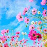 ヒメ日記 2025/09/11 08:48 投稿 ふうか 妻天 京橋店